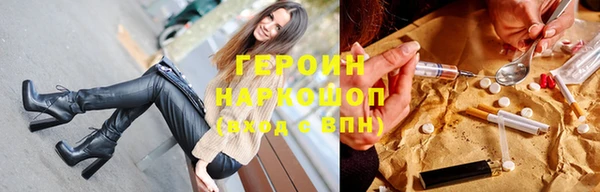 прущие грибы Гусиноозёрск