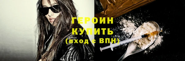 прущие грибы Гусиноозёрск