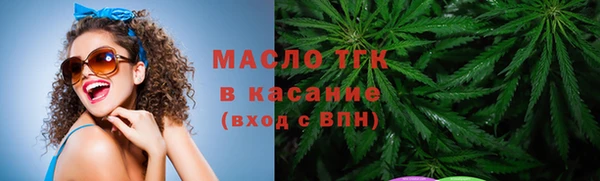 прущие грибы Гусиноозёрск