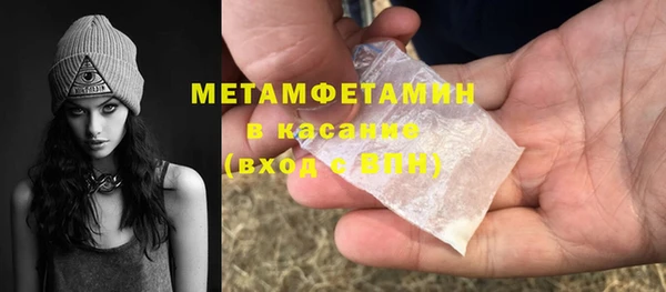 прущие грибы Гусиноозёрск