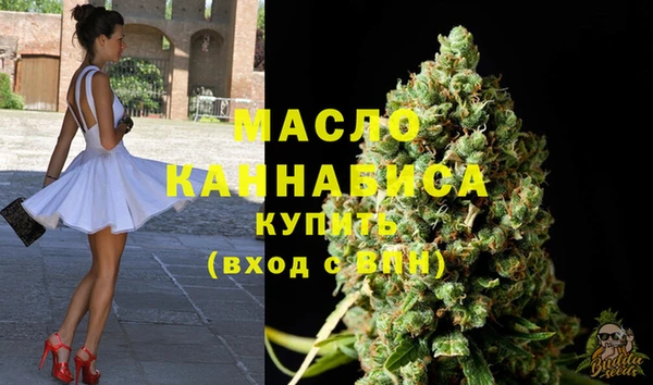 прущие грибы Гусиноозёрск