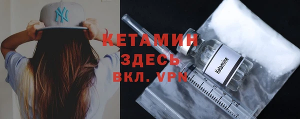 прущие грибы Гусиноозёрск