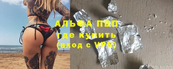 прущие грибы Гусиноозёрск