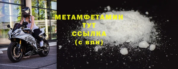 прущие грибы Гусиноозёрск